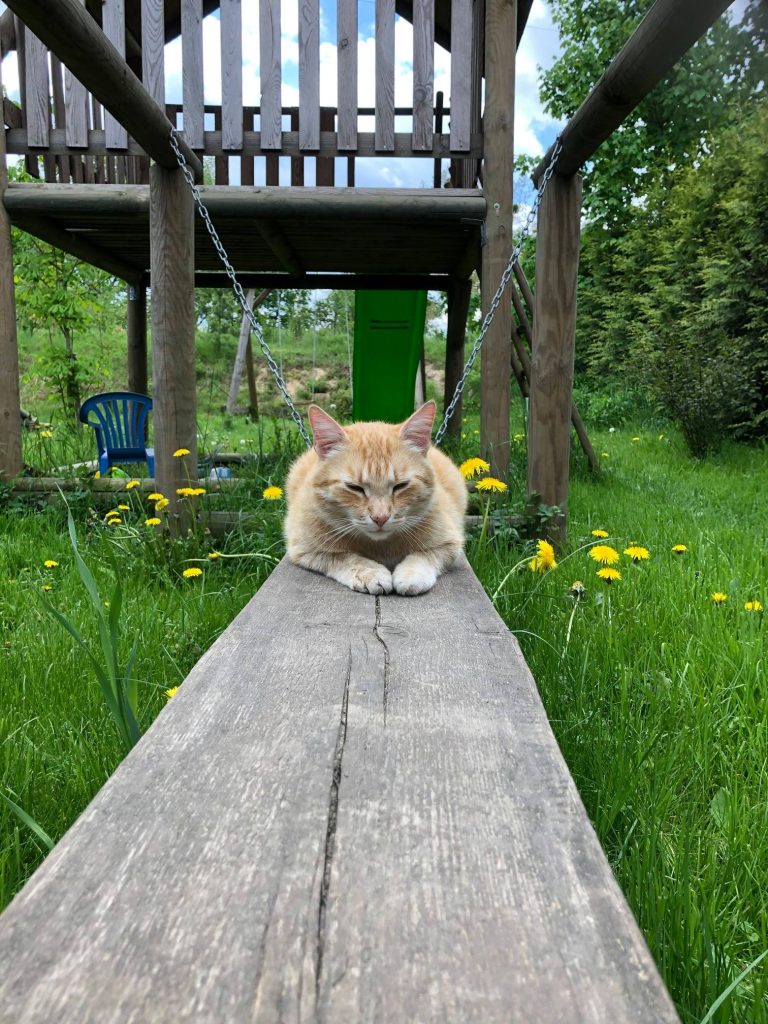 189074334 1823722297795196 8567611038340440177 N 768x1024