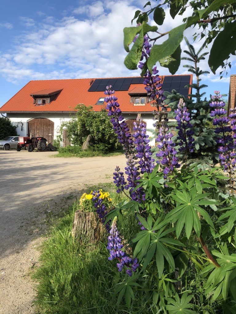 191d9418 cf2d 4da6 8bcc 8139ebd0c099 (1)[1]