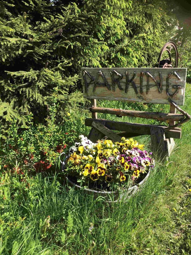 IMG 1807 Min 1 768x1024